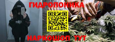 стаф Канаш