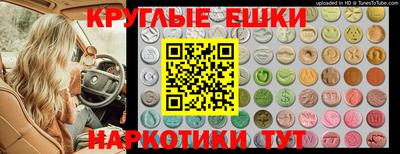 стаф Канаш