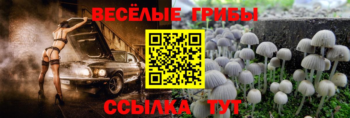 Псилоцибиновые грибы ЛСД  Вход с VPN  где купить наркоту  Псилоцибиновые грибы ЛСД  Красный Сулин 