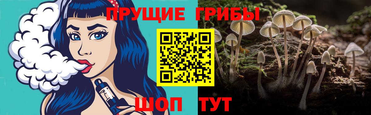 Псилоцибиновые грибы GOLDEN TEACHER Красный Сулин